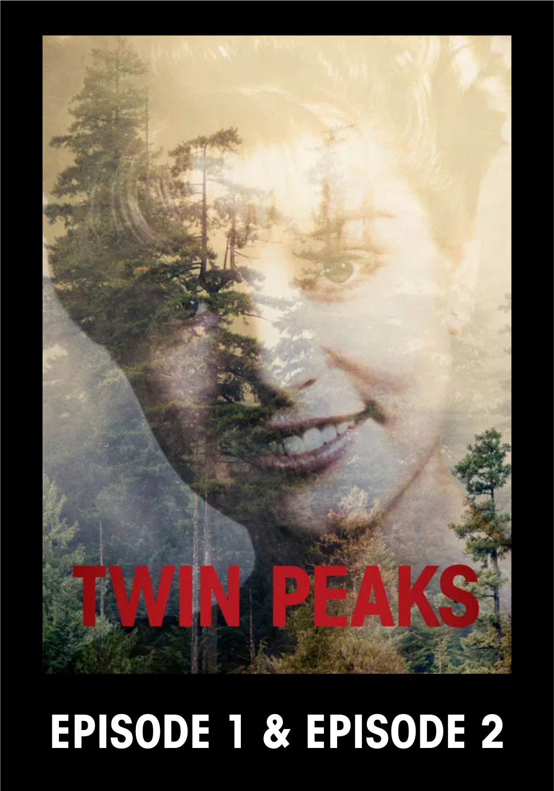 TWIN PEAKS: Season 1 - Episode 1 and 2 Movie Poster